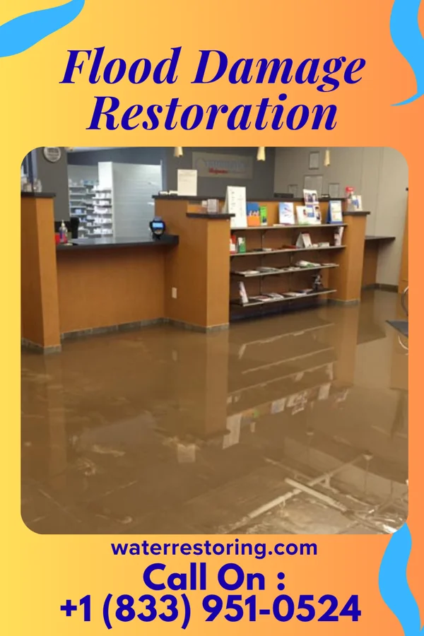 Flood Damage Restoration in Lely Resort, FL