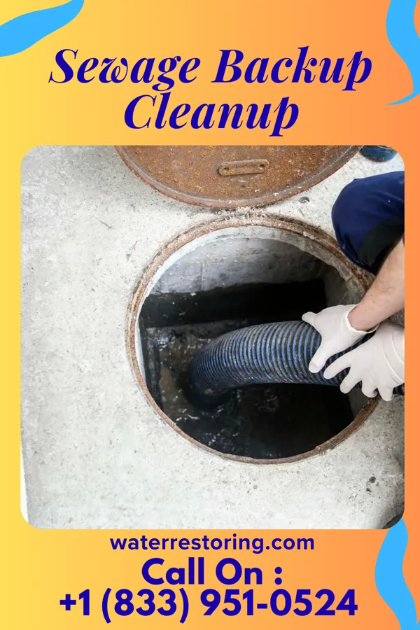 Sewage Backup Cleanup in Lely Resort, FL